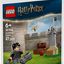LEGO Polybag Harry Potter 30706 - Lezione di Quidditch