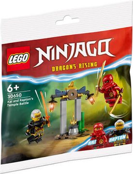LEGO Polybag Ninjago 30650 - Kai and Rapton’s Temple Battle