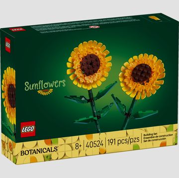 LEGO Botanicals 40524 - Girasoli