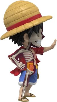 luffyw2